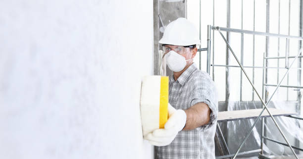 Professional Mold Removal in Morro Bay, CA